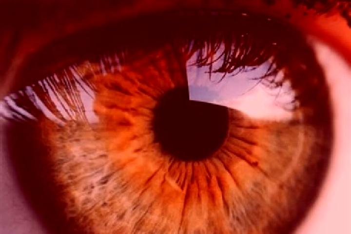 Mila, 34, a dark blonde hazel-eyed mediterranean companion based in Gul kevichi. Offering BDSM, OWO, CIM, Girlfriend Experience, Domination. Available for in...