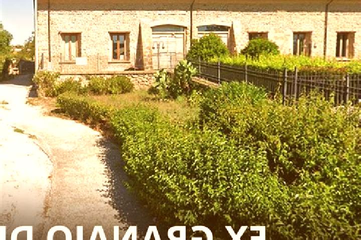 Mila, 34 — Escort in Borgo Montello, Italy