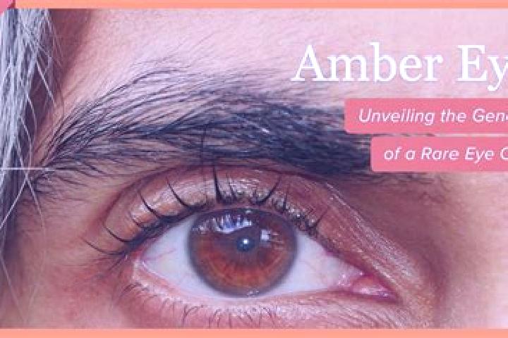 Mila, 35, a black amber-eyed mixed companion based in Kampung Panaga. Offering Tantra, GFE, Party Girl. Available for incall and outcall, day and evening dates.