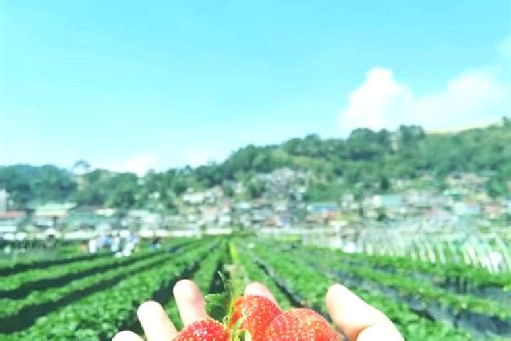 Mila, 35 — Escort in Fraccionamiento la Trinidad, Mexico