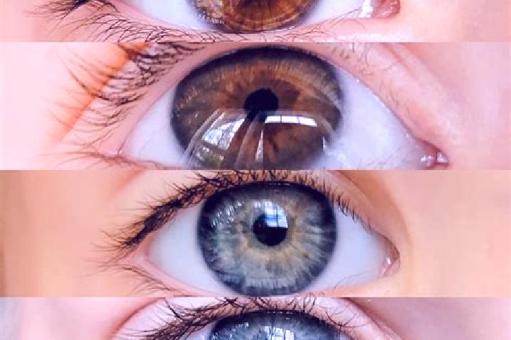 Mila, 37, a chestnut grey-eyed middle eastern companion based in Kardamyla. Offering Couples, CIM, Tantra, Domination. Available for incall and outcall, over...