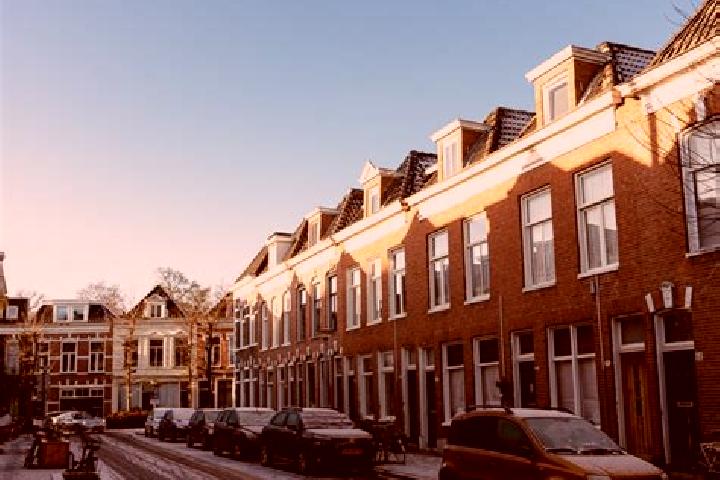 Mila, 37 — Escort in Korrewegwijk, Netherlands