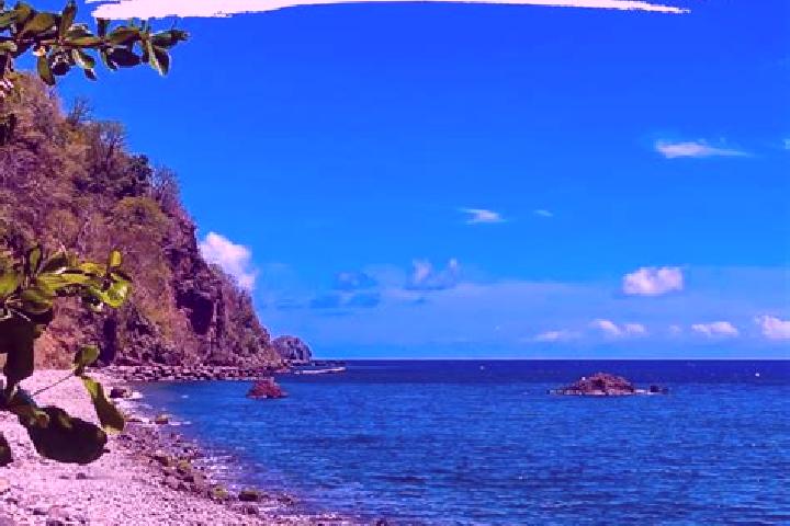 Mila, 37 — Escort in Pointe Michel, Dominica