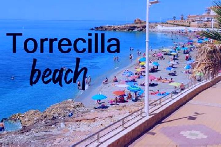 Mila, 37 — Escort in Torrecilla de la Torre, Spain