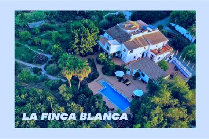 Mila, 38 — Escort in Finca Blanco, Panama