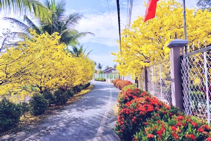 Mila, 38 — Escort in Hoa Vang, Vietnam