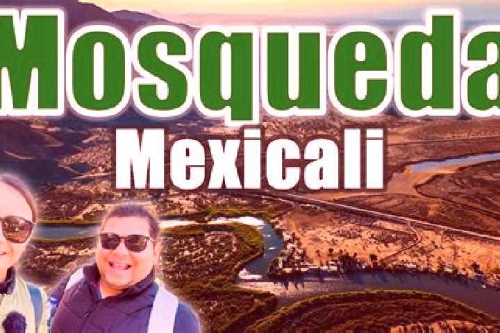 Mila, 38 — Escort in Noria de Mosqueda, Mexico