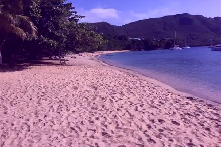 Mila, 39 — Escort in New Montrose, Saint Vincent and the Grenadines