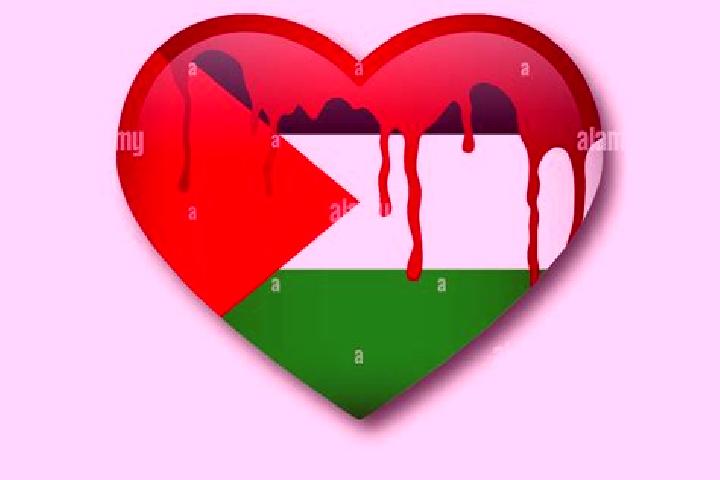 Naomi, 20 — Escort in Imrish, Palestine