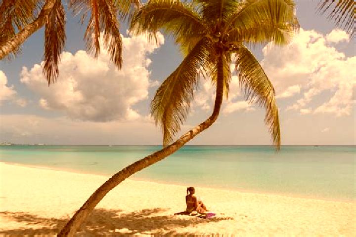 Naomi, 20 — Escort in Seven Miles, Cayman Islands