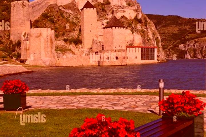 Naomi, 21 — Escort in Golubac, Serbia
