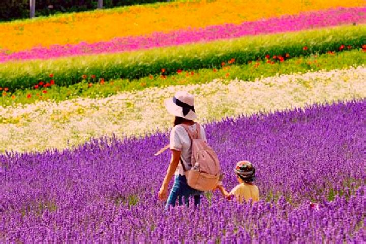 Naomi, 21 — Escort in Kami-furano, Japan