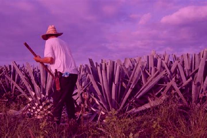 Naomi, 21 — Escort in Mezcales, Mexico