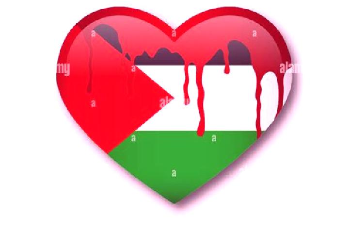 Naomi, 22 — Escort in Falamyah, Palestine