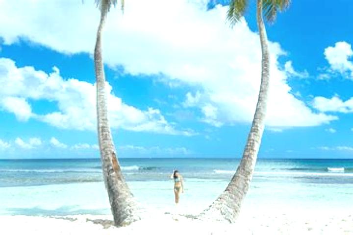 Naomi, 22 — Escort in Punta Cana, Dominican Republic