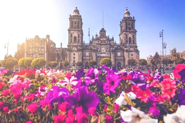Naomi, 23 — Escort in Ciudad Ayala, Mexico