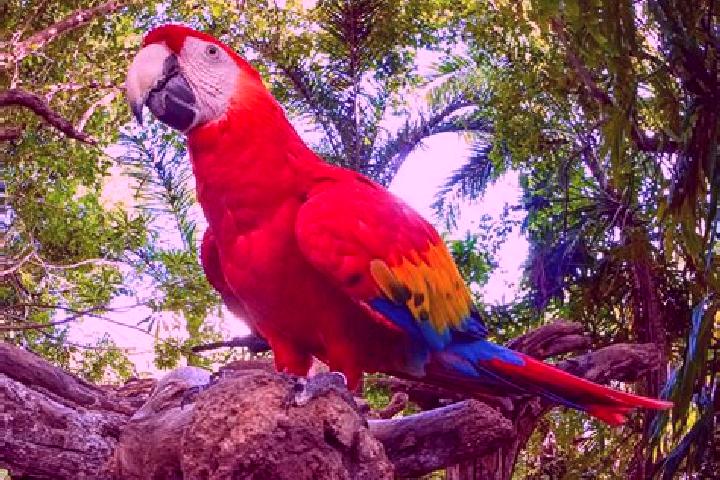 Naomi, 23 — Escort in Las Guacamayas, Mexico