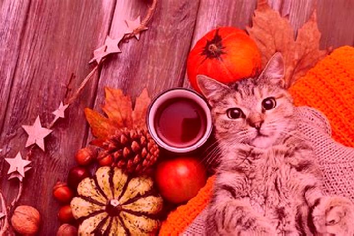 Naomi, 24 — Escort in Cat, Turkey