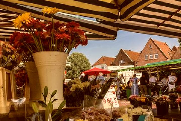 Naomi, 24 — Escort in Lingen, Germany
