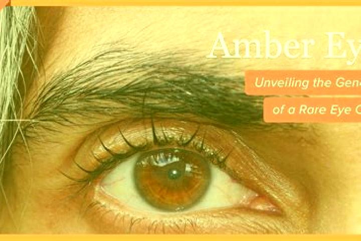 Naomi, 25, a black amber-eyed slavic companion based in Dietersheim. Offering Roleplay, GFE, Striptease, Girlfriend Experience. Available for incall and outc...