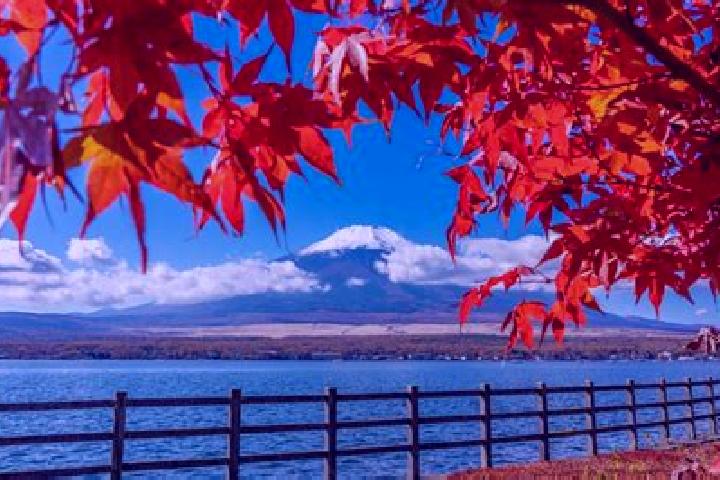 Naomi, 25 — Escort in Tateyama, Japan