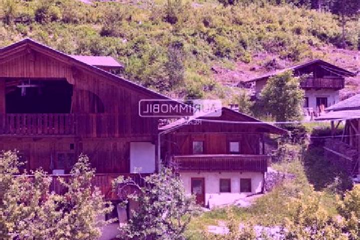 Naomi, 26 — Escort in Selva dei Molini, Italy