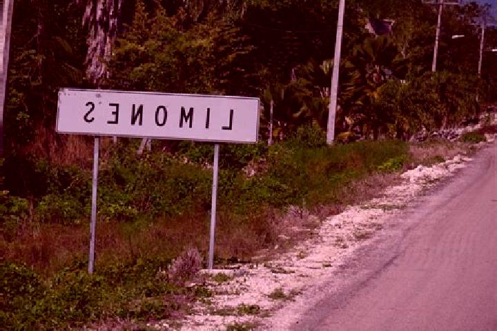 Naomi, 28 — Escort in Campo de los Limones, Mexico