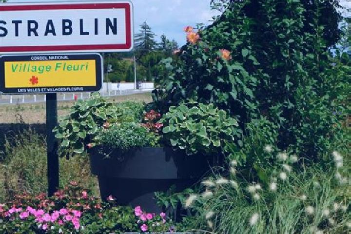 Naomi, 28 — Escort in Estrablin, France