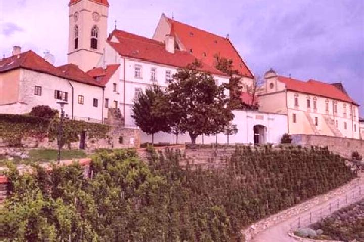 Naomi, 28 — Escort in Znojmo, Czech Republic