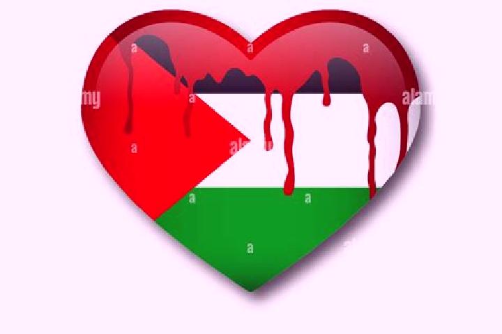 Naomi, 29 — Escort in Al Fukhkhari, Palestine