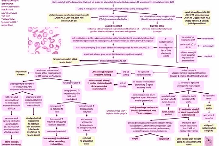 Naomi, 29 — Escort in Gusev, Russia