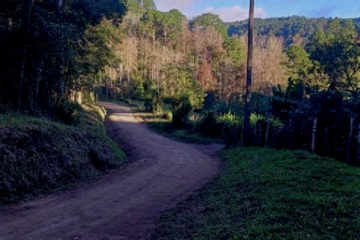 Naomi, 29 — Escort in Opatoro, Honduras