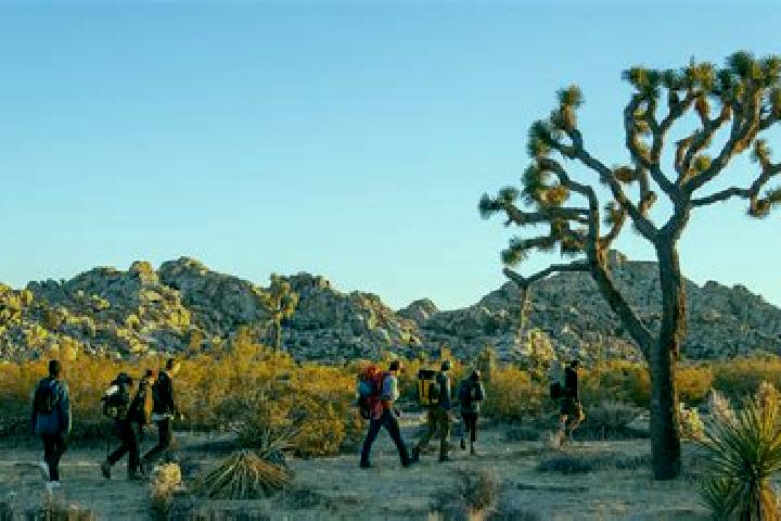 Naomi, 30 — Escort in Joshua Tree, United States