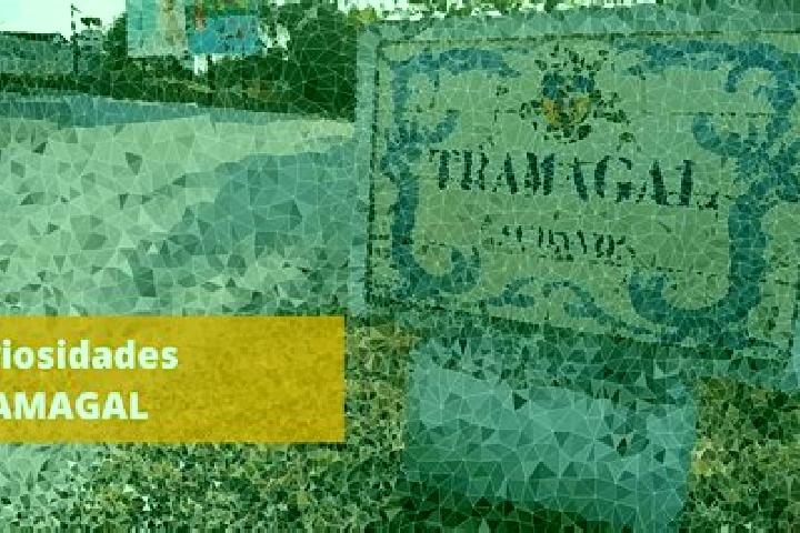 Naomi, 30 — Escort in Tramagal, Portugal