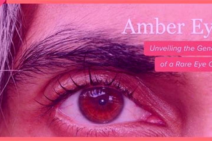 Naomi, 31, a red amber-eyed middle eastern companion based in El Realejo. Offering OWO, Couples, Domination. Available for incall and outcall, day and evenin...