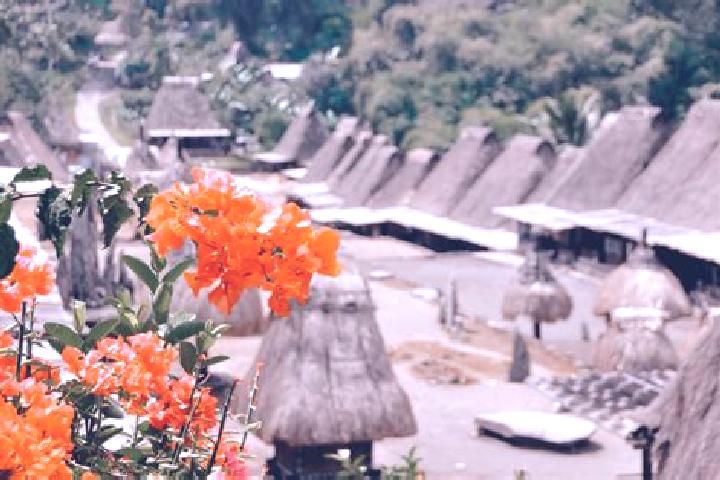 Naomi, 31 — Escort in Bajawa, Indonesia