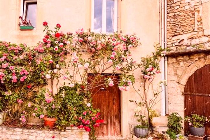 Naomi, 31 — Escort in Grignan, France