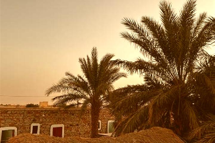 Naomi, 32 — Escort in ElGhediya, Mauritania