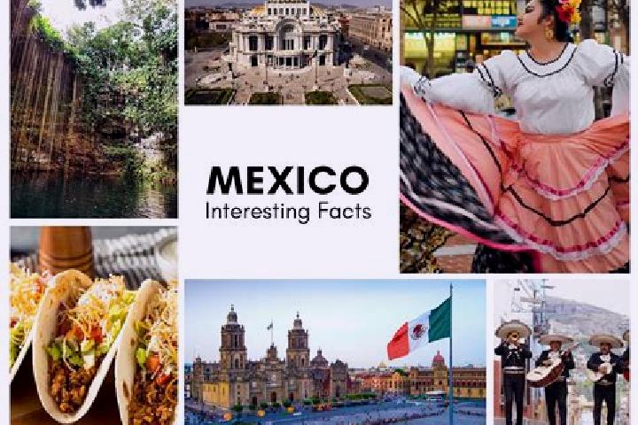 Naomi, 32 — Escort in Zacamixtle, Mexico