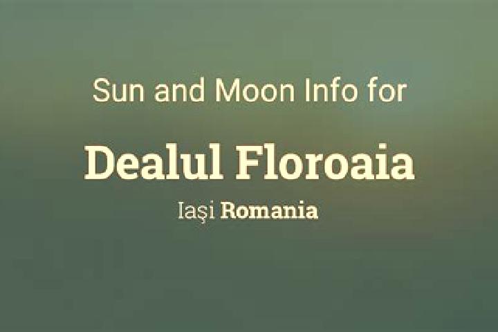Naomi, 33 — Escort in Floroaia, Romania