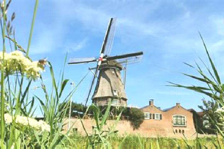 Naomi, 33 — Escort in Welberg, Netherlands