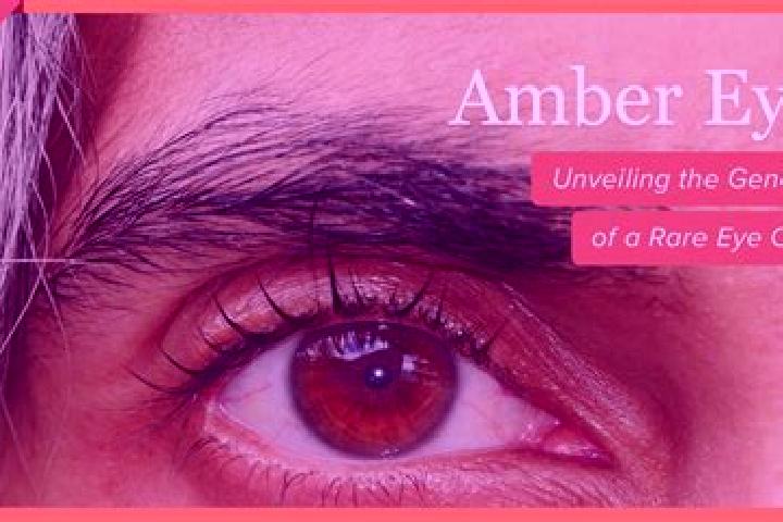 Naomi, 34, a red amber-eyed latina companion based in Adenbuettel. Offering Domination, Massage, Duos, Tantra. Available for incall and outcall, day and even...