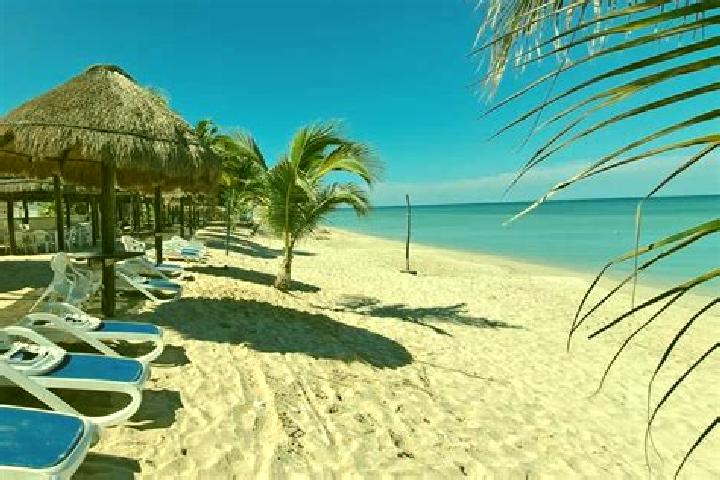 Naomi, 34 — Escort in Bahia Tortugas, Mexico