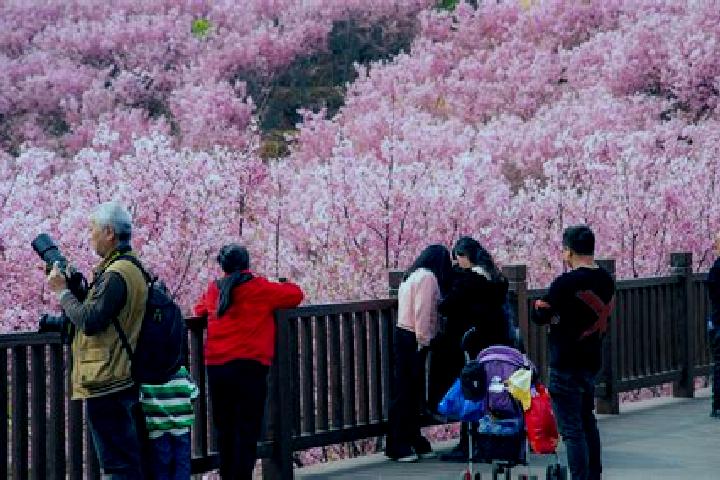 Naomi, 34 — Escort in Yaojia, China