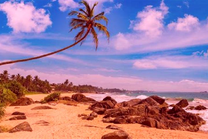 Naomi, 36 — Escort in Ambalangoda, Sri Lanka