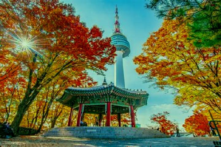 Naomi, 37 — Escort in Namsan, North Korea