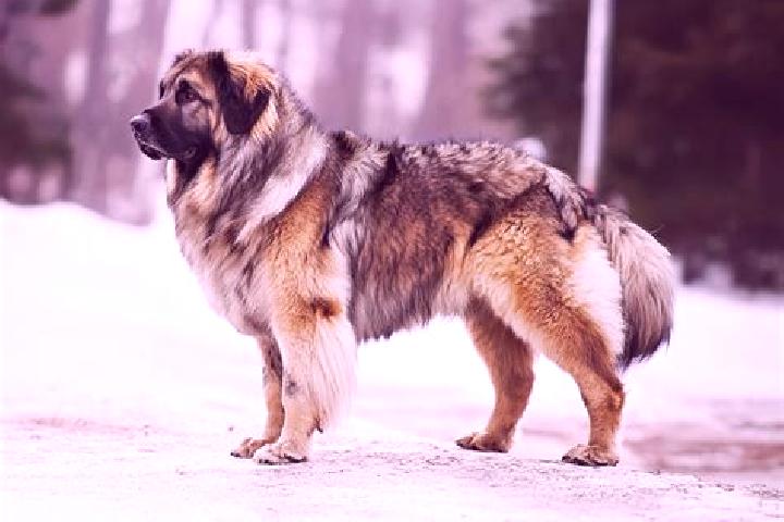 Naomi, 38, a black brown-eyed caucasian companion based in Roaring Spring. Offering Party Girl, Travel Companion, Deep French Kissing, Tantra, OWO. Available...