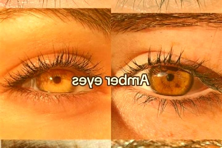 Naomi, 38, a brunette amber-eyed european companion based in Busca. Offering Massage, CIM, BDSM. Available for incall and outcall, overnight bookings available.