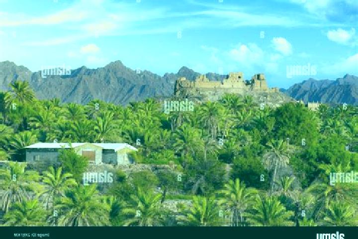 Naomi, 38 — Escort in Rustaq, Oman