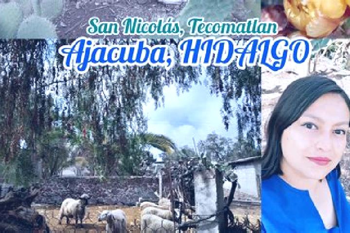 Naomi, 39 — Escort in San Nicolas Tecomatlan, Mexico
